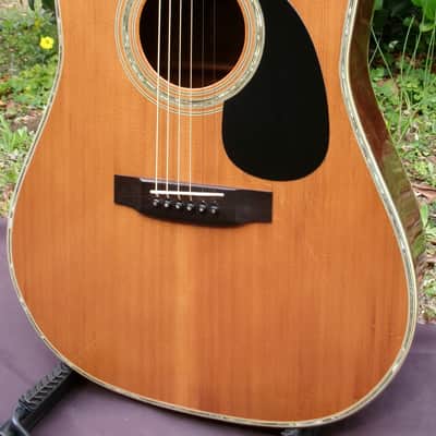 1976 Yairi YW-600 Dreadnought Guitar New Jacaranda + Vintage Hard Case image 2