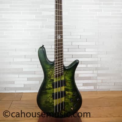 Spector NS Dimension 4 - Haunted Moss image 14