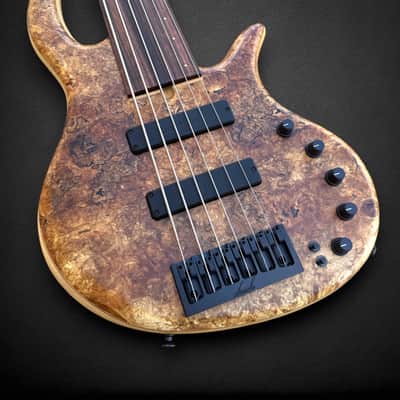 Elrick EVO Gold 5 String Spalted Maple Burl 2025 - Natural image 4