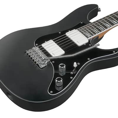 Ibanez BER10-BK Bernth Signature Premium - Black Matte image 3
