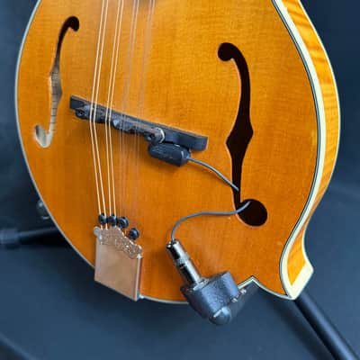 Epiphone MM-50E Professional F-Style Mandolin Blonde Natural w/ LR Baggs Pickup image 8