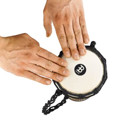 Meinl Headliner Djembe HDJ7-XXS, 4-1/2", Gecko Design - Djembe image 2