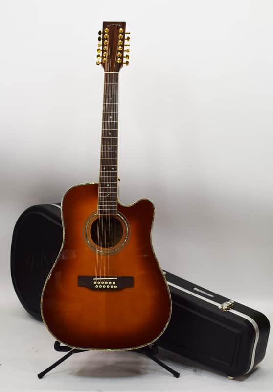 Zager Easy Play ZAD-900CE-12 12-String Acoustic/Electric Guitar image 1