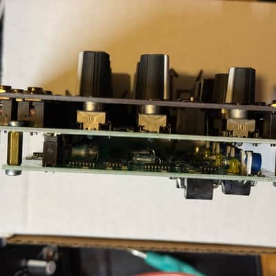 Make Noise QMMG Module 2018 - Present - Black & Gold image 10