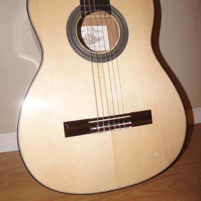 Darren Hippner Birdseye Classical Guitar Torres 2021 B Stock image 4