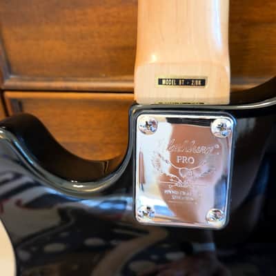 Washburn BT-2 Maverick Series, VG+, Epiphone P-Ups image 10