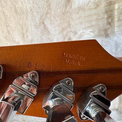 Gibson Firebird V Guitar Of The Week #12 Zebrawood Wings image 6