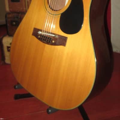 1974 MARTIN SIGMA DM 12-5 12 String Acoustic image 1