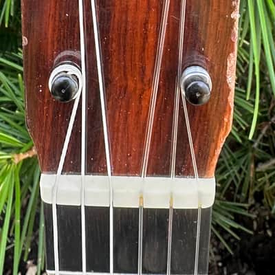 Early Augustino Flamenco Guitar with Pegs w/HSC image 8