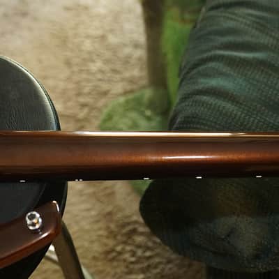 2006 Parker Fly Mojo Mahogany Piezo Duncan Pickups Hard Shell Case Tools 9 and 10 Springs image 10