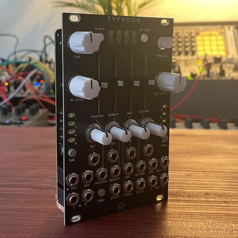 Typhoon (16HP Mutable Instruments Clouds) Eurorack Module, Black Panel image 1