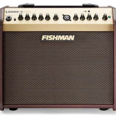 Loudbox Mini Bluetooth 60-Watt Acoustic Guitar Amplifier image 1