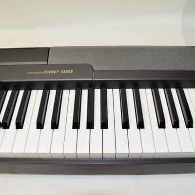 Casio CDP-100 88-Key Weighted Hammer Action Digital Piano Keyboard image 5