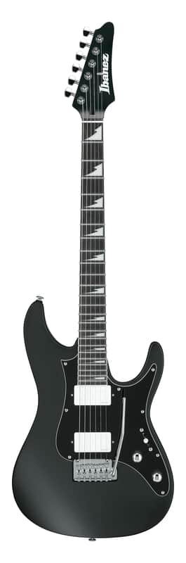 Ibanez BER10-BK Bernth Signature Premium - Black Matte image 1