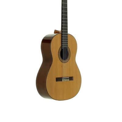 JOSE TORRES JTC-40 image 2