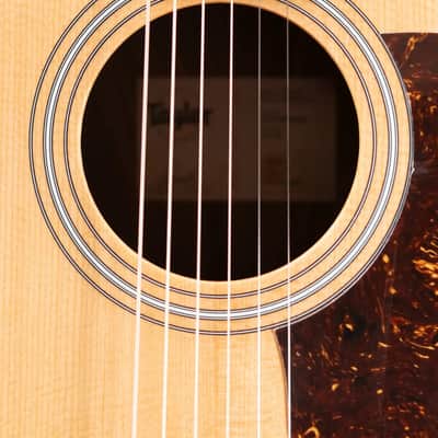 Taylor 210ce Dreadnought Acoustic/Electric Guitar with Gig Bag image 11