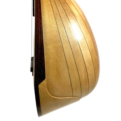 Mandoline Raffaele Calace N°2 de 1910 image 7