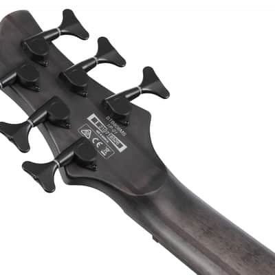 Ibanez BTB806MS-TGF Bass Workshop BTB Electric Bass 6-String Multi Scale - Transparent Gray Flat + Case image 4