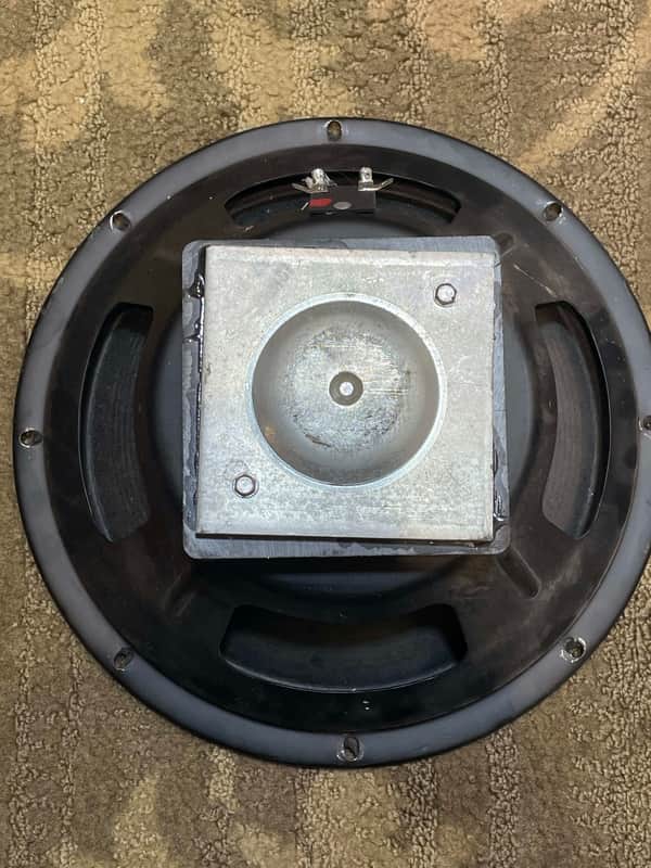 Unknown 12" Speaker