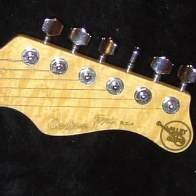 Valley Arts Custom Pro Telecaster (Brad Paisley signed Time Well Wasted Tour model signed )2005 1of3 made image 2