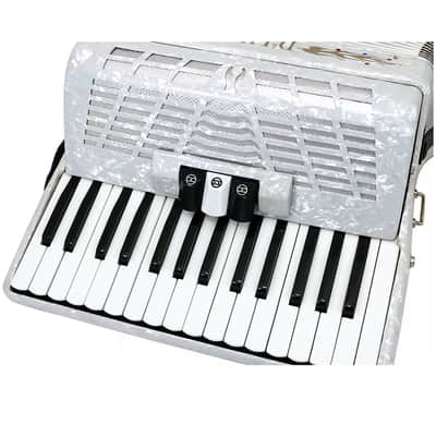 D'Luca Grand Piano Accordion 3 Switches 30 Keys 48 Bass with Case and Straps, White image 5