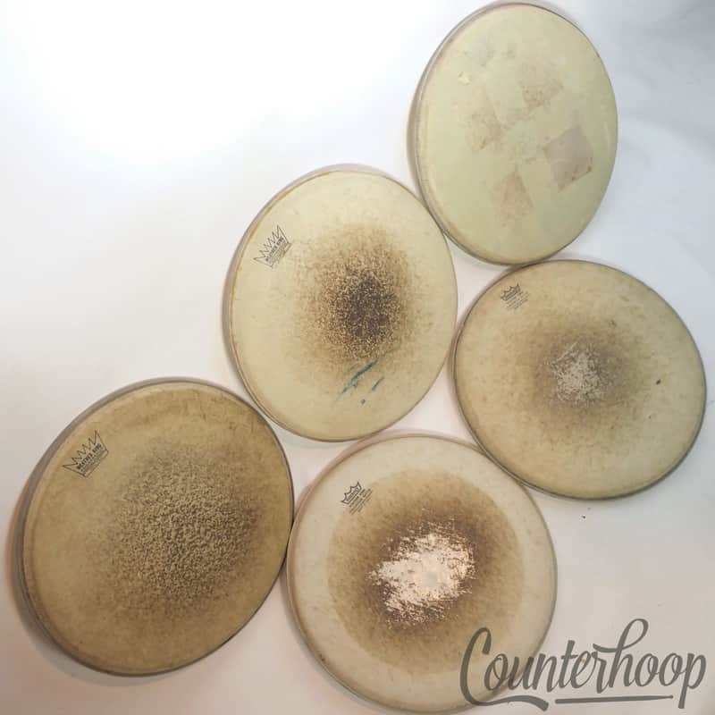 *Remo 5x 13" Tom Drum Heads Coated Ambassador Batter/Resonant Weather King USA* image 1