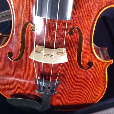 D'Luca PD02 Viola 15.5 Inches image 4