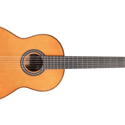 Immagine Cordoba C9 Parlor Nylon String Acoustic Guitar Natural w/ Case - 8