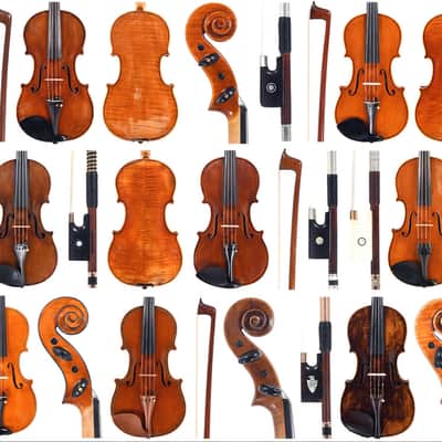 Immagine VENDUTO Violino italiano dell'Officina Mauro Lucini, Cremona, n. 88, 2025 (certificato) - 12