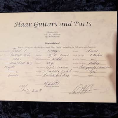 Haar custom shop telecaster (trad t) 2025 image 16