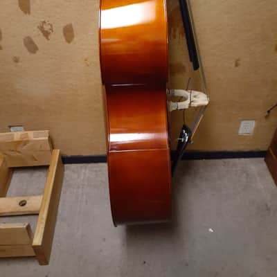 Eastman Upright Bass VB80 image 4