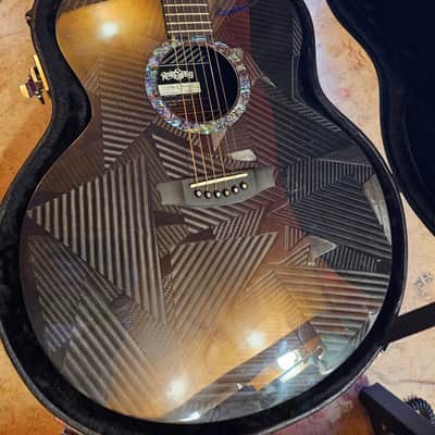 RAINSONG acoustic guitars for sale in USA | guitar-list