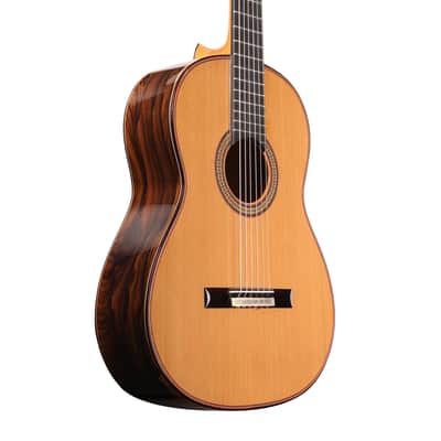 Manuel Adalid Homenaje - Cedar Double top/Solid Ziricoté back/sides - Handmade in Spain - 2025 image 15