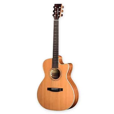 ギター Lakewood M-1 ギター Lakewood M-1 超レア格安]LAKEWOOD M-1 ドイツ製名門ギター