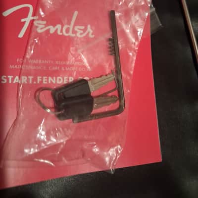 Fender American Professional Series Stratocaster image 14