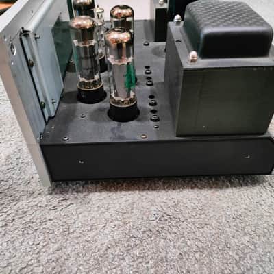 VTL MB-125 COPPIA FINALI MONO MONOBLOCK VALVOLARI TUBE POWER AMP VTL- MB125 Silver image 12