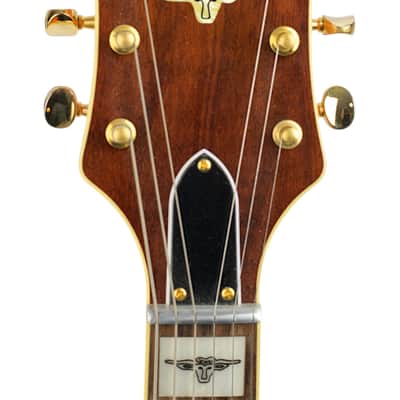Used 2023 Gretsch G6120T-55 Vintage Select '55 Chet Atkins Hollow Body Western Orange #JT23020594 image 5