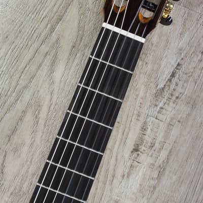 Cordoba C10 Parlor CD Acoustic Nylon String Parlor Size Guitar with Case image 6