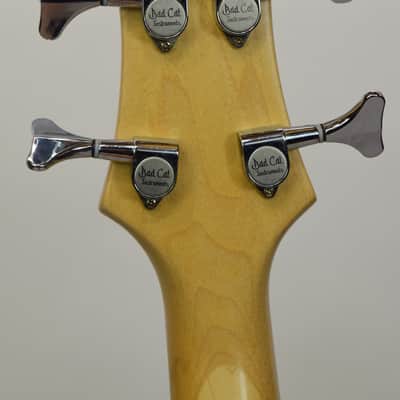 Bad Cat Instruments AC-230 Acrylic Custom 4-String Electric Bass Guitar, Transparent Lucite w/ EMG Pickup image 11