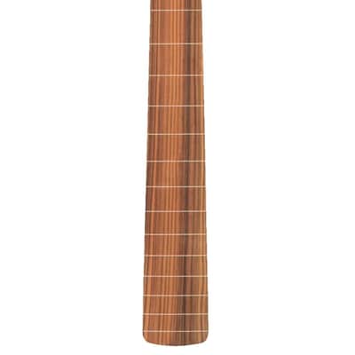 Fender Player Series Jazz Bass Fretless Neck Pau Ferro 9.5" Modern "C" image 1