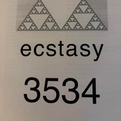 Bogner Ecstasy 3534 3-Channel 35-Watt Guitar Amp Head - Black Comet image 9