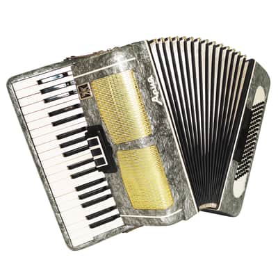 Russian Piano Accordion Ariya 96 Bass Buttons Original Keyboard Accordian New Straps 2174, Wonderful sound! image 2