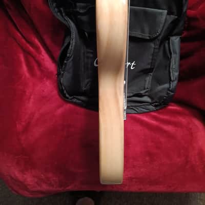 Cozart Telecaster 2024 - Natural image 3