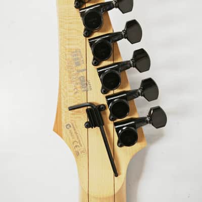 Ibanez RG2670Z 2006 ST Type Electric Guitar Made in Japan, o5310 image 15