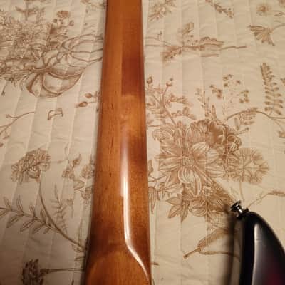 Peavey  Foundation  83/84 Sunburst image 11