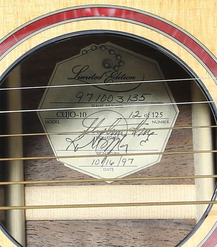 Taylor Cujo-10 Dreadnought image 8