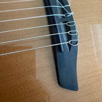 Furch GNc 4-CR Nylon Cedar / Indian Rosewood with LR Baggs EAS image 17