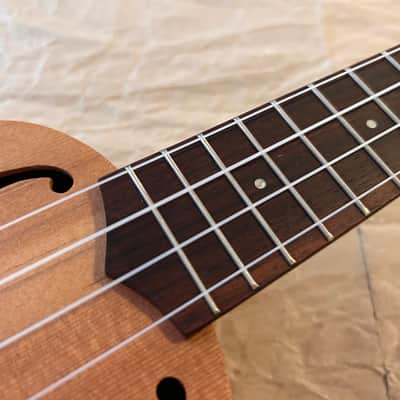 Stagg Soprano Ukulele USX-ROS- S Solid Top F holes and side Soundhole NOS Excellent Condition in original carton box with tags image 5