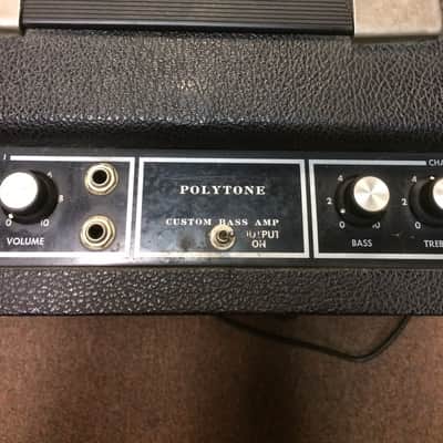 Polytone Model 101 image 3