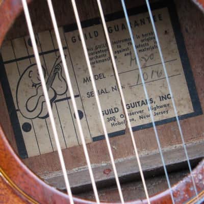 ~Nick Drake~ 1958 Guild M20 Acoustic Guitar - Holy Grail of Folk Guitars - Ghost Label - M-20 USA image 11